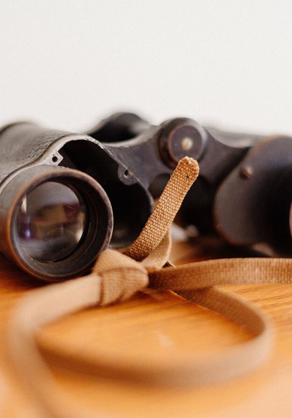 Book A Local Surveyor Search