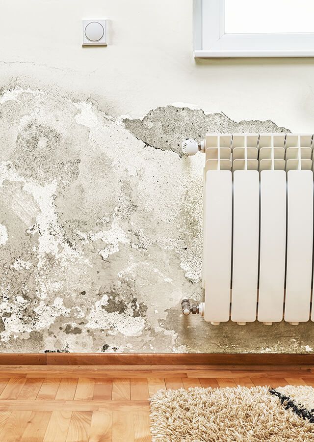 Book A Local Surveyor Specialist Services 3